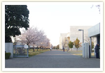 昭和大学の校舎